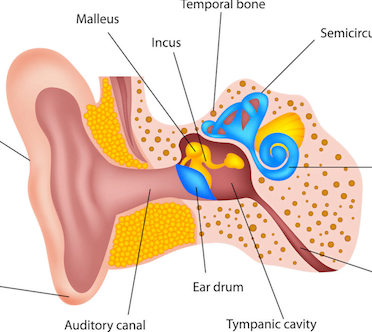 Hearing Loss - Conor Mullarkey Hearing Care